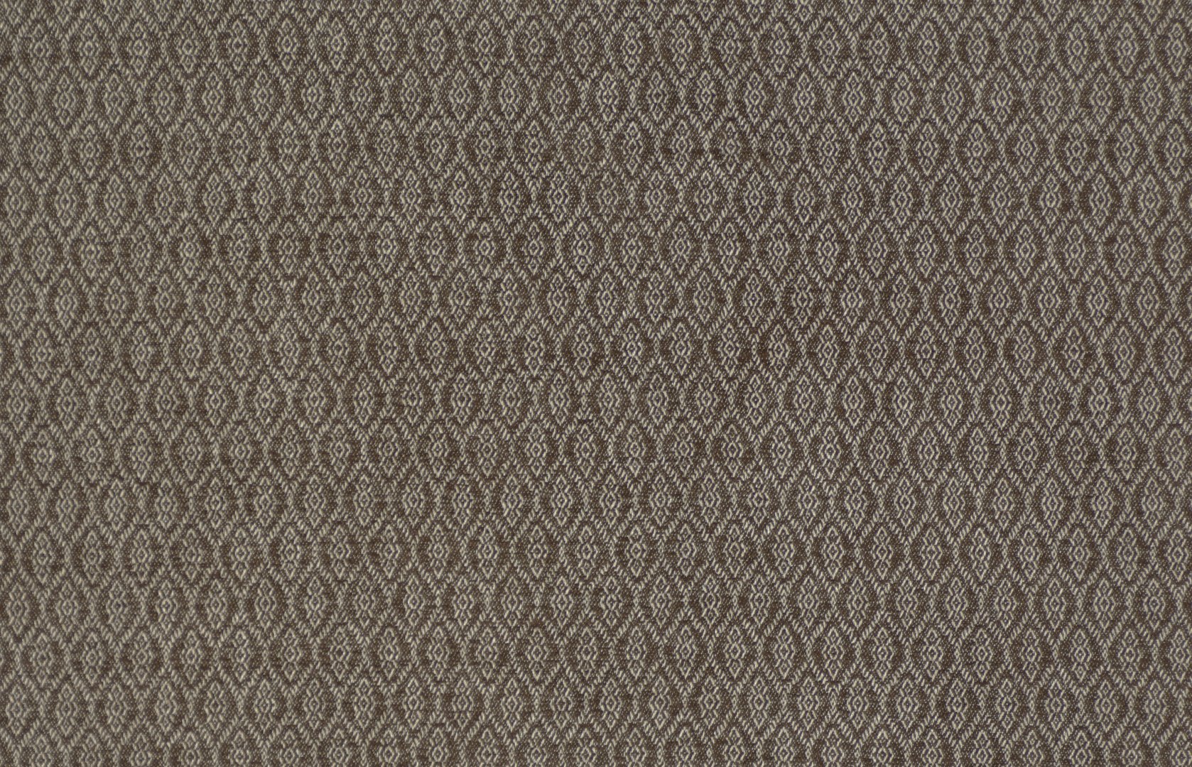 HASSETT CHESTNUT copy.jpg