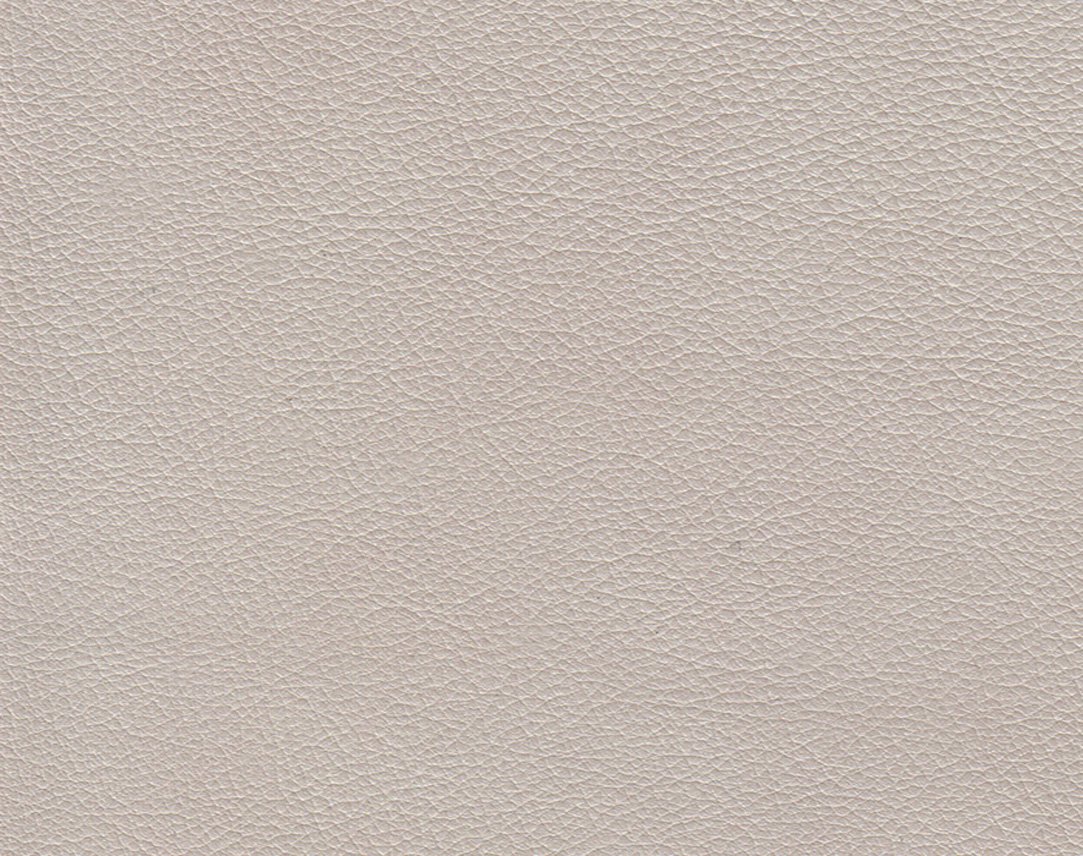 Hollywood Glass Slipper Image