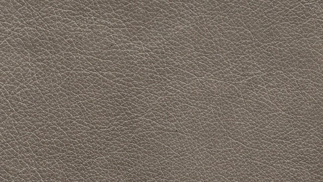 Hollywood Mood Image