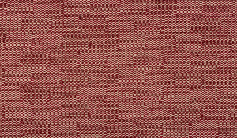 I-Friendly Tomato Image