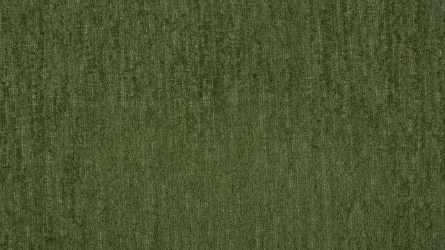 I-Gowan Endive Image