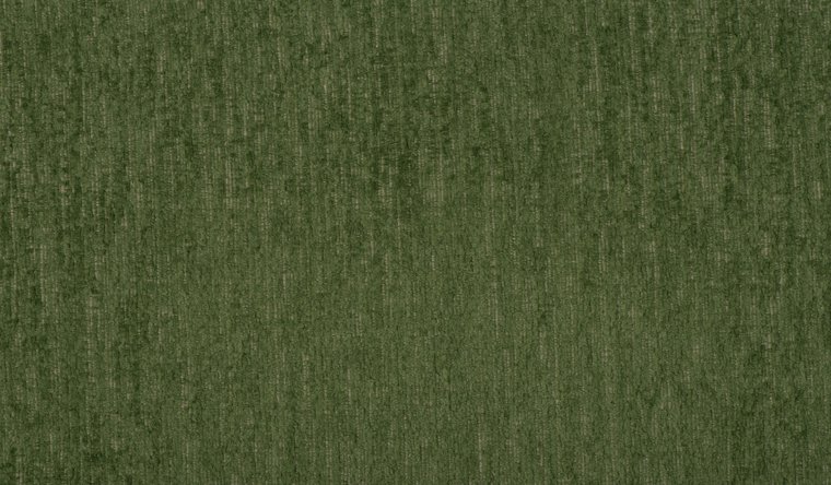 I-Gowan Endive Image