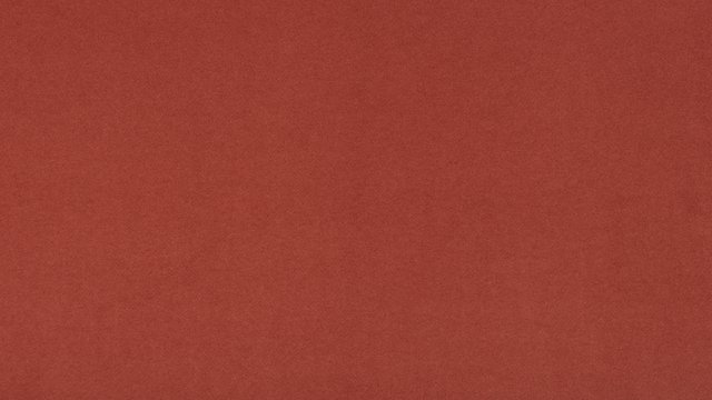 I-Sundance Coral Image