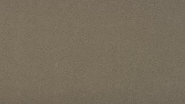 I-Sundance Mushroom Image