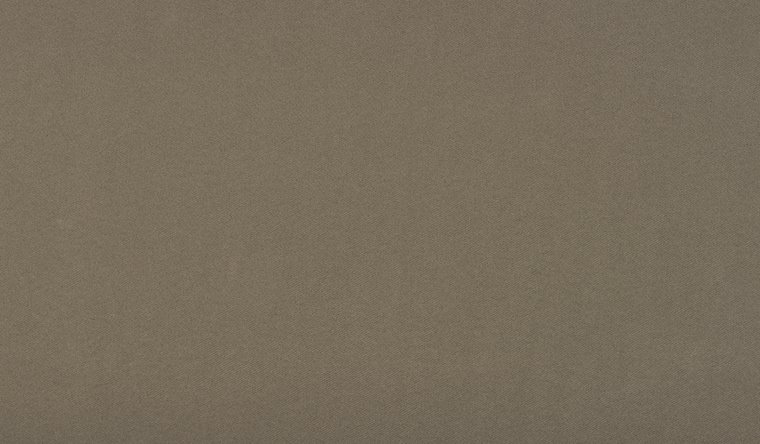 I-Sundance Mushroom Image