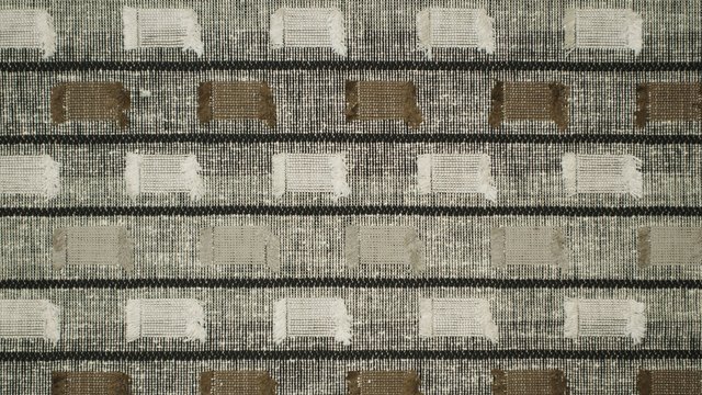 INFRINGE DRIFTWOOD.jpg