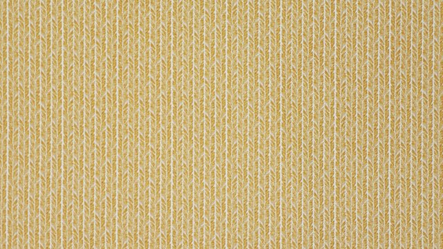 KENAI BUTTERCUP copy.jpg