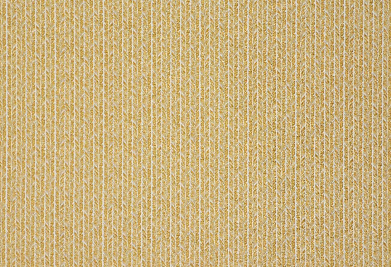 KENAI BUTTERCUP copy.jpg