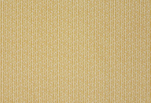 KENAI BUTTERCUP copy.jpg