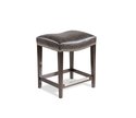 Robbins Counter Stool Image