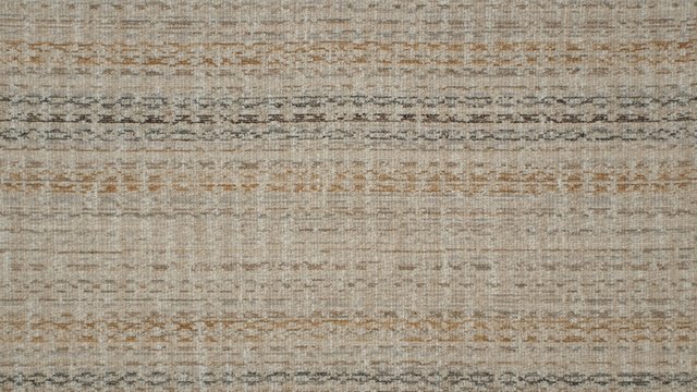 LACHLAN MARIGOLD.jpg