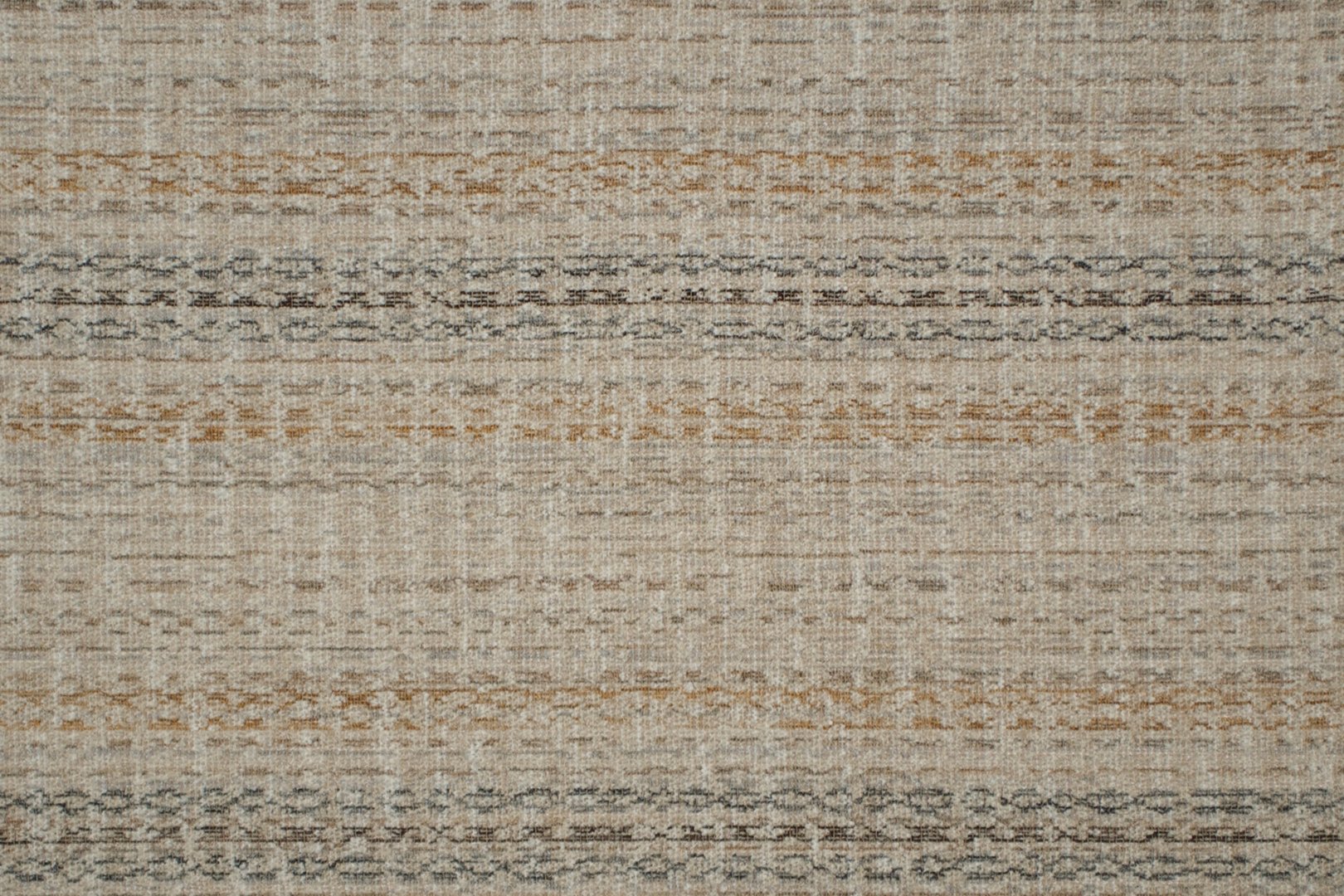 LACHLAN MARIGOLD.jpg