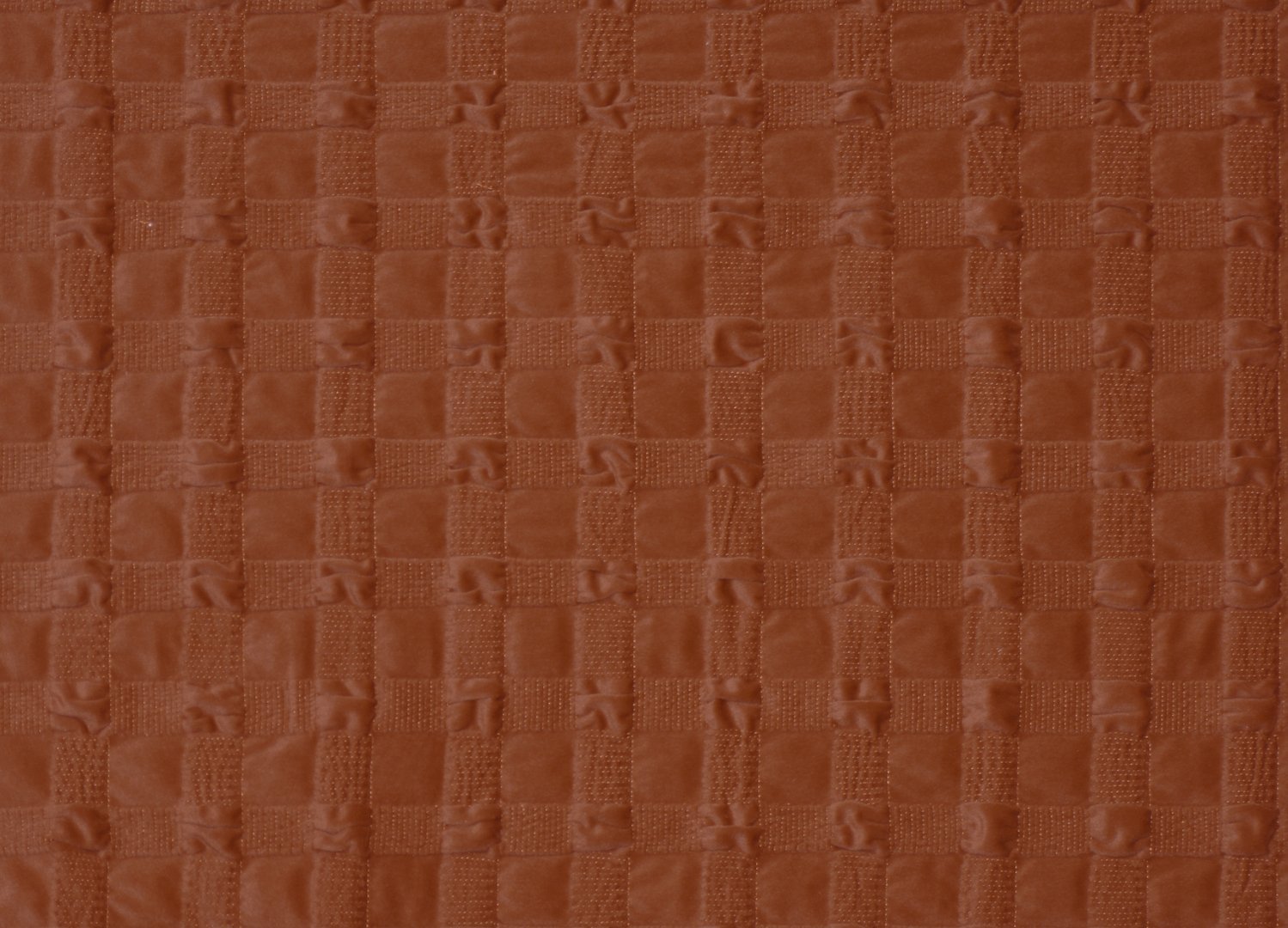 LATTICE CHILIBEAN copy.jpg