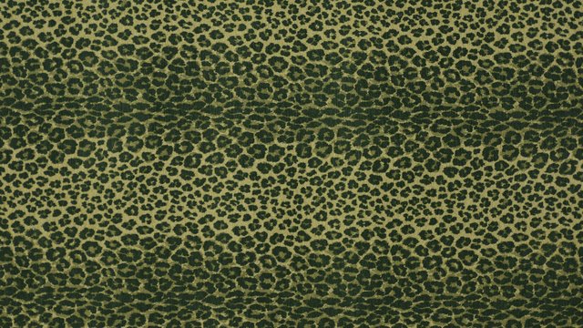LEOPARD CASTELVETANO copy.jpg