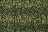 LEOPARD CASTELVETANO copy.jpg