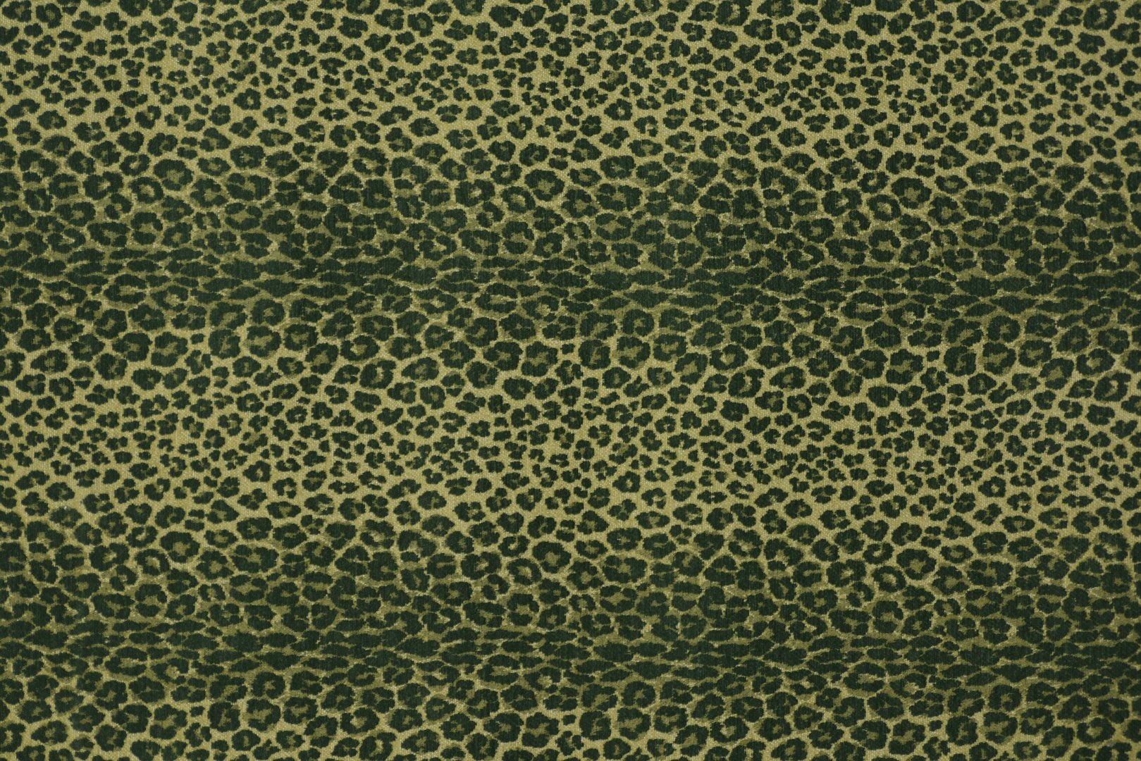 LEOPARD CASTELVETANO copy.jpg