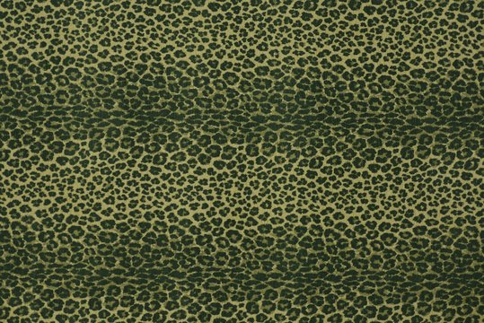 LEOPARD CASTELVETANO copy.jpg