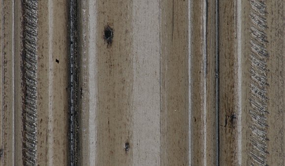 LICHEN PREMIUM Image