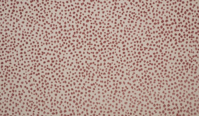 LIZETTE ROSEWATER Image