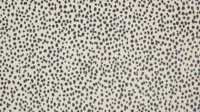 LIZETTE SAPPHIRE.jpg