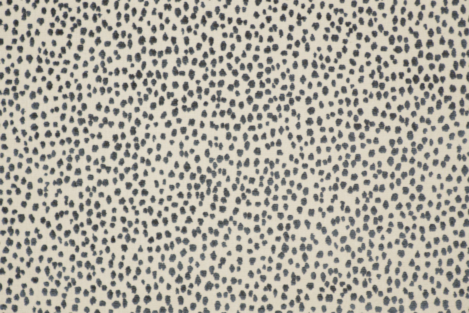 LIZETTE SAPPHIRE.jpg