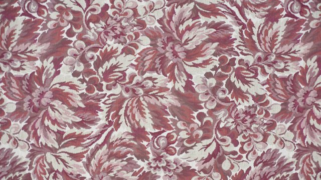 LIZZY CABERNET copy.jpg