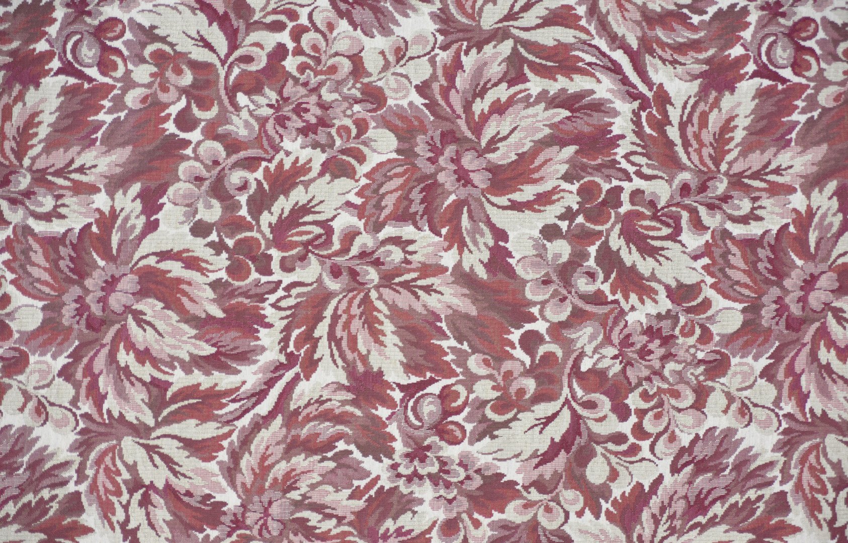 LIZZY CABERNET copy.jpg