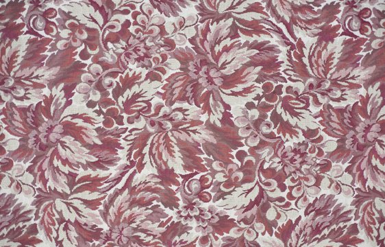 LIZZY CABERNET copy.jpg