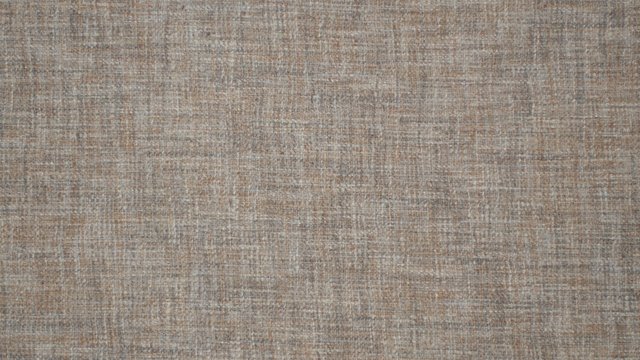 LOOK WITHIN SHELL.jpg