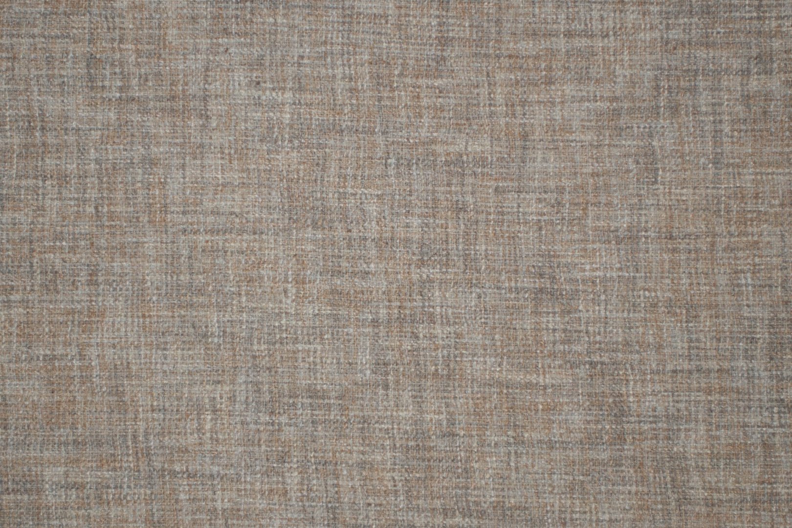 LOOK WITHIN SHELL.jpg