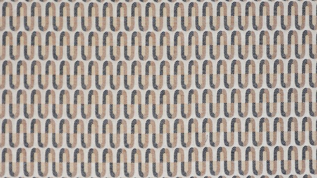 LOOP MUSTARD copy.jpg