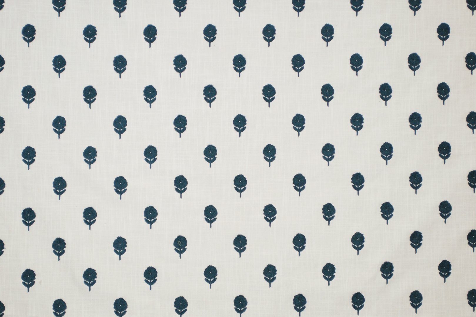 LOVELY BLOOM OXFORD.jpg