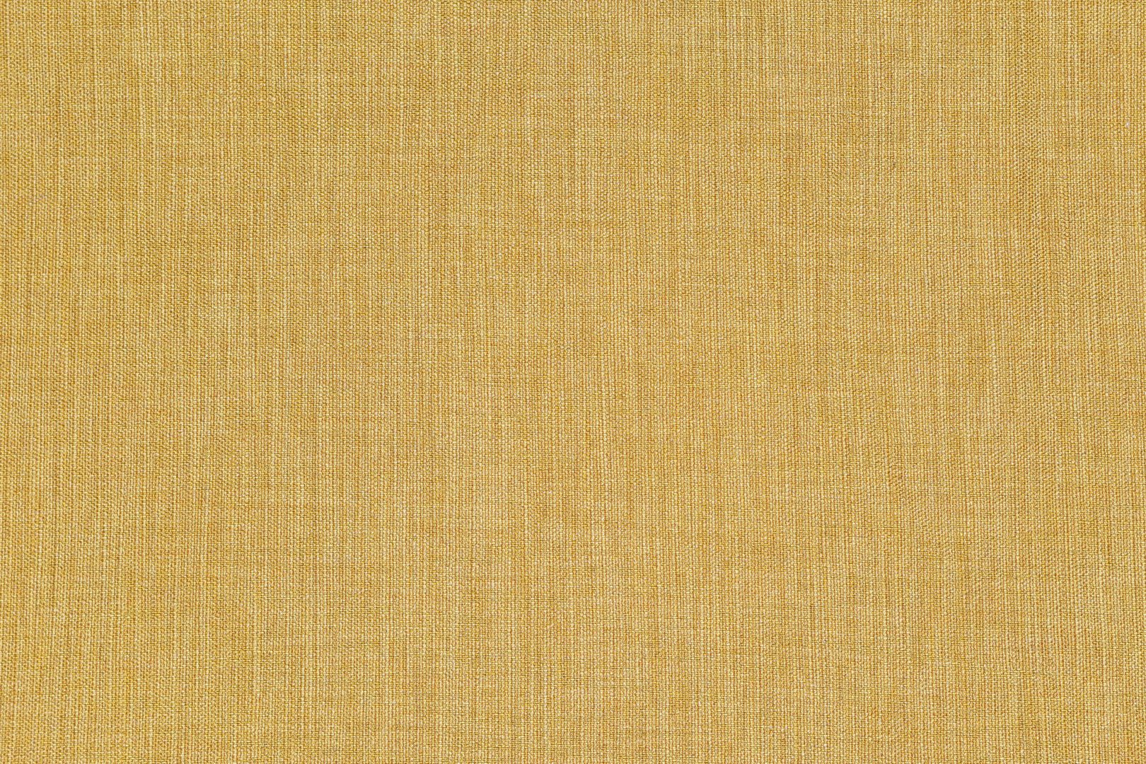 LUDA GOLDEN POPPY.jpg