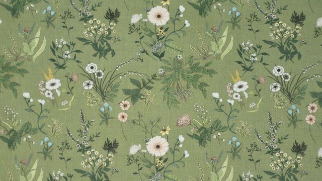 LYLA SAGE copy 2.jpg