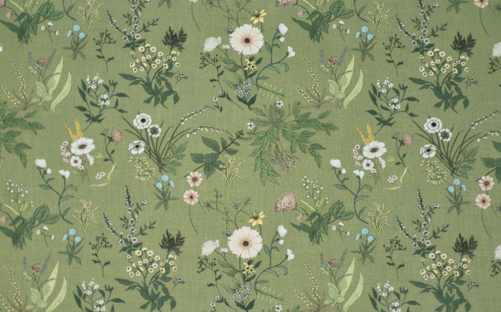 LYLA SAGE copy 2.jpg