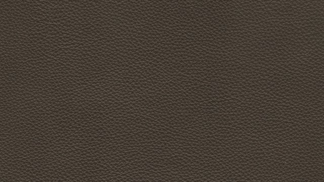 Lifestyle Blocker.jpg