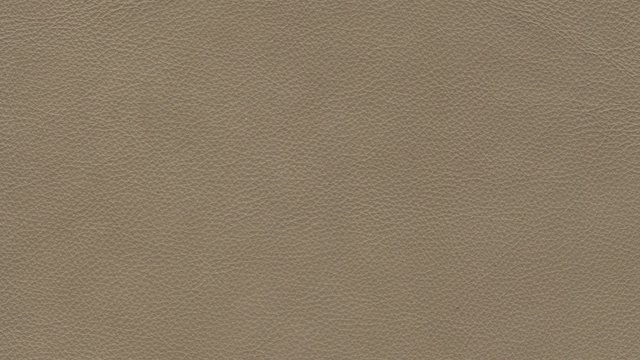 Lifestyle Edition.jpg