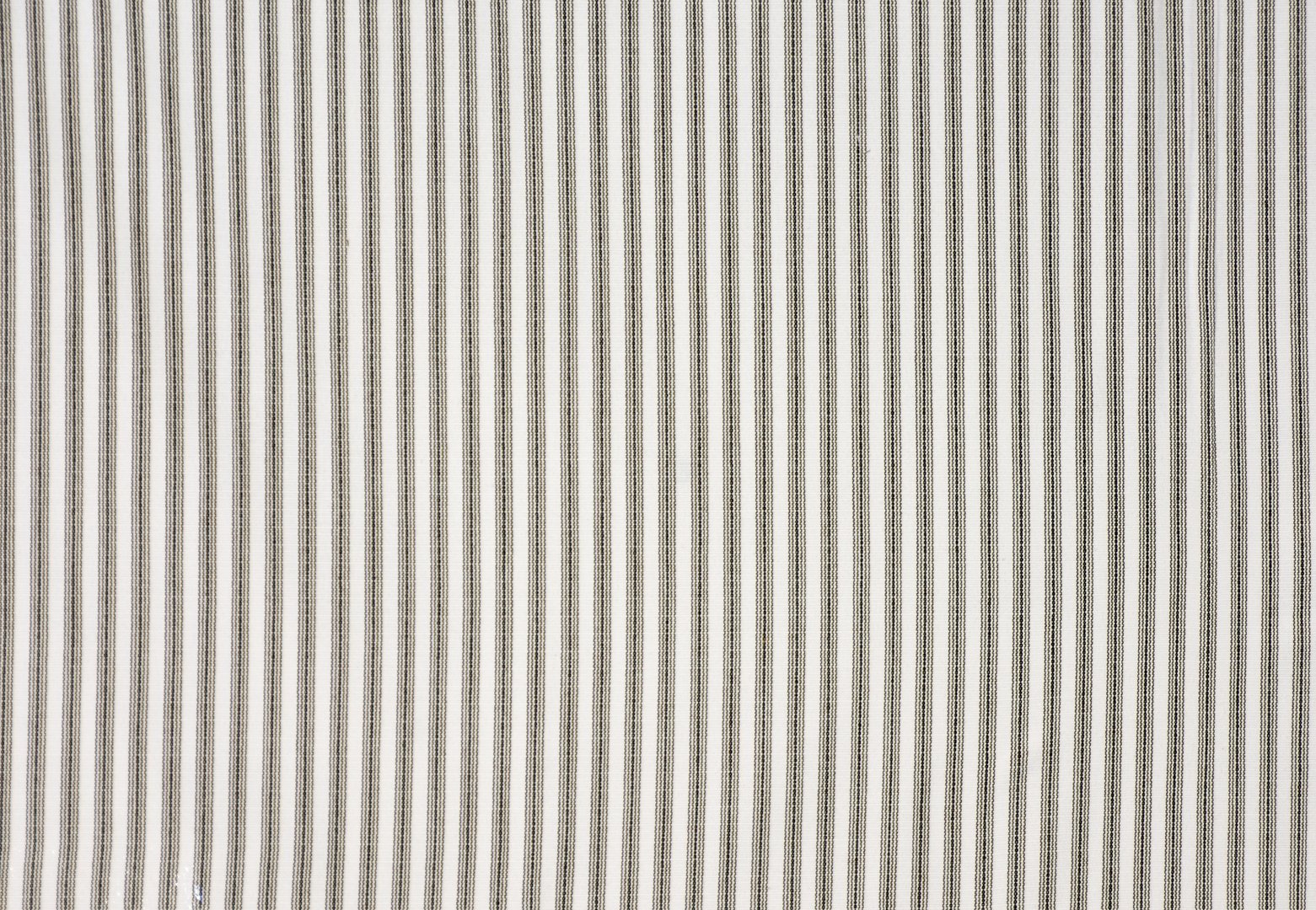 MAX CHOCOLATE copy.jpg