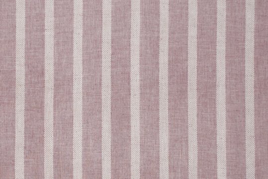 MESMERIZE THISTLE_cropped.jpeg