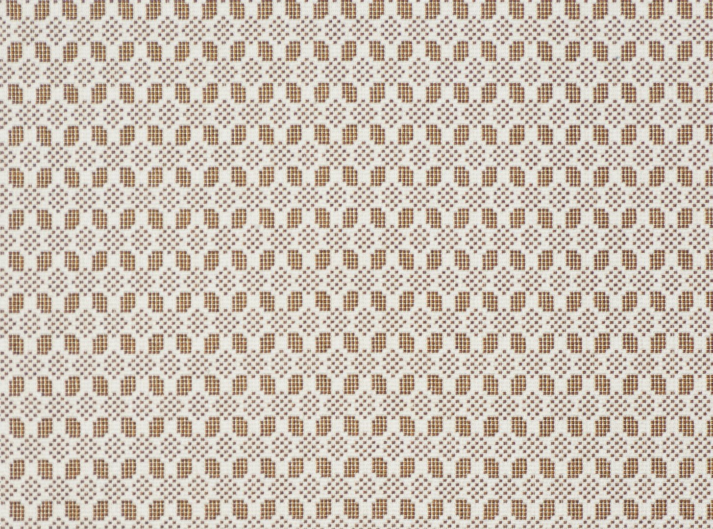 MIETIS NUTMEG copy.jpg