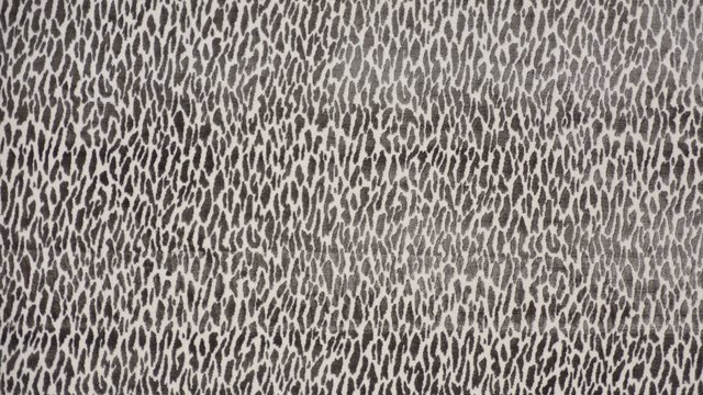 MONTE CARLO PORTABELLO copy.jpg