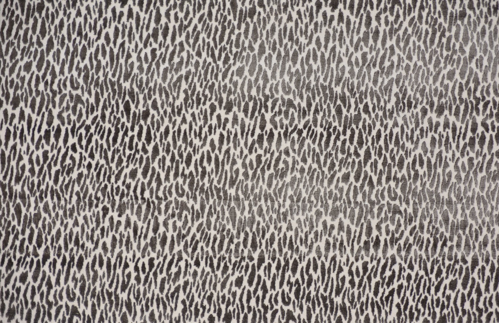 MONTE CARLO PORTABELLO copy.jpg