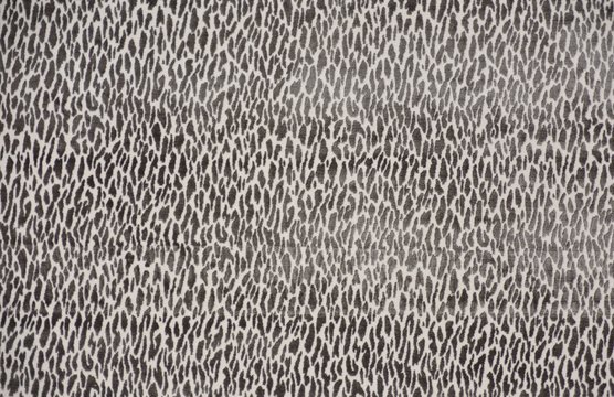 MONTE CARLO PORTABELLO copy.jpg