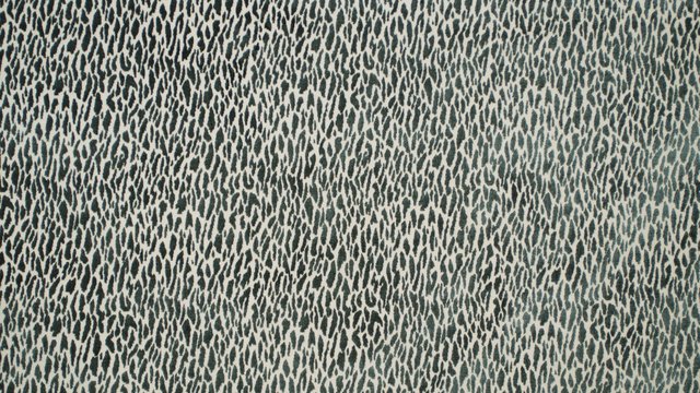 MONTE CARLO SAGE.jpg