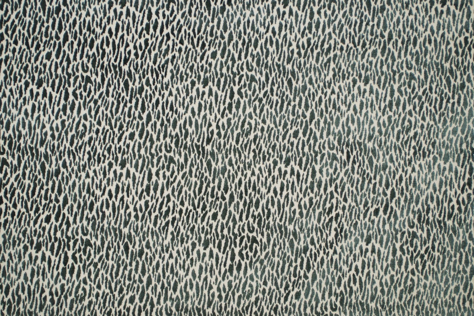 MONTE CARLO SAGE.jpg