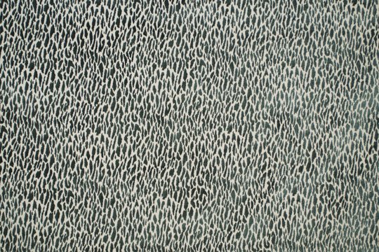 MONTE CARLO SAGE.jpg