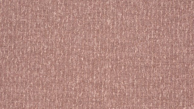 MORI PRIMROSE copy.jpg