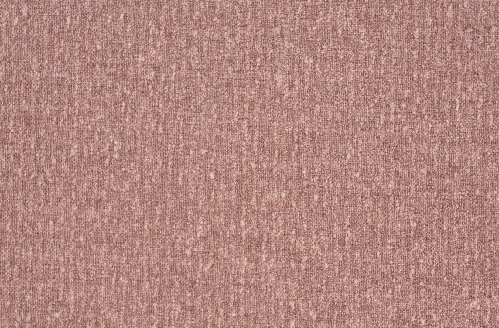 MORI PRIMROSE copy.jpg