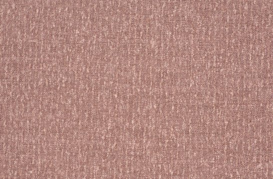 MORI PRIMROSE copy.jpg