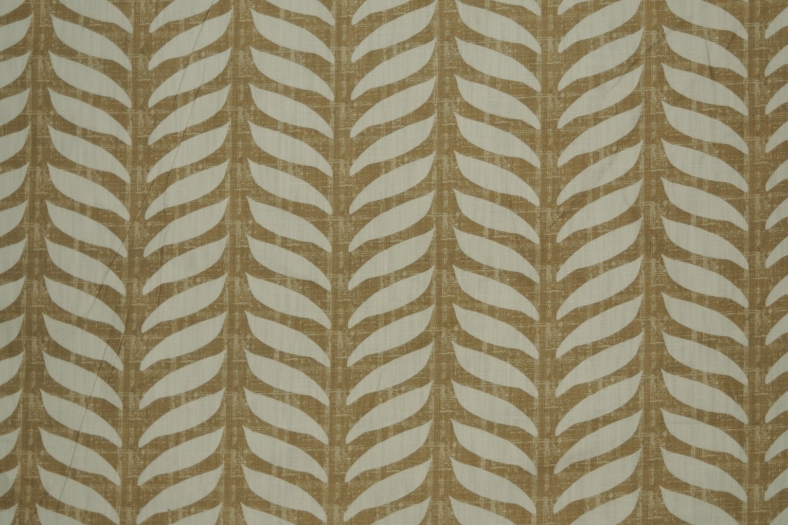 MOTH WING BEIGE.jpg